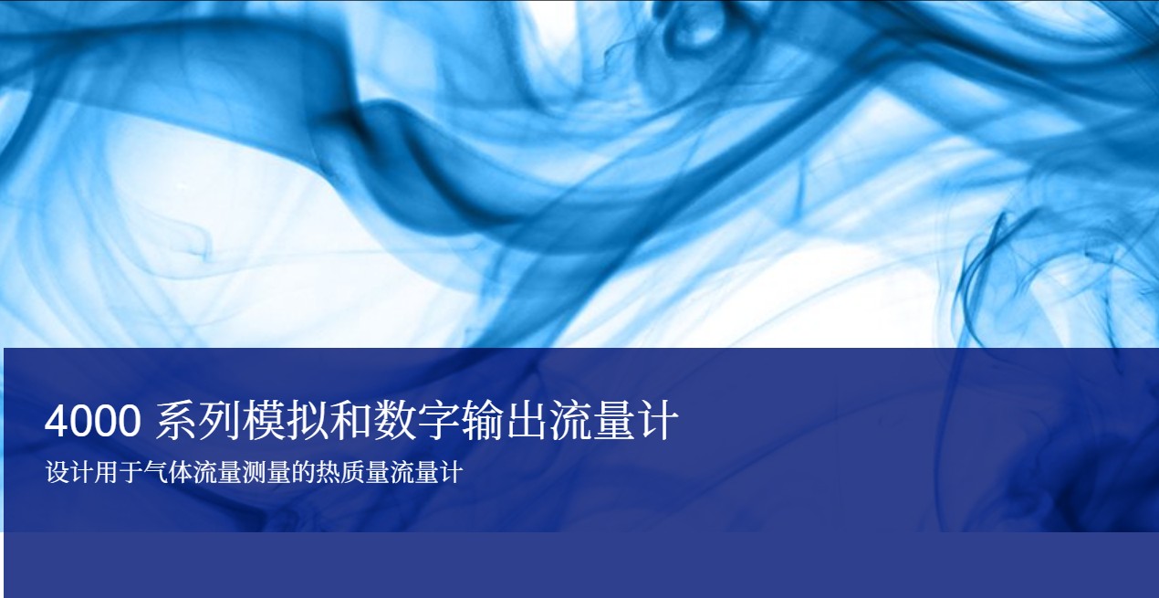 4000 系列模拟和数字输出流量计